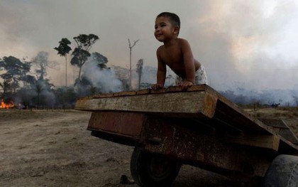 WHO cảnh báo tác động của cháy rừng Amazon đối với sức khỏe trẻ em
