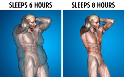 Giả sử mỗi ngày bạn được ngủ 8 tiếng, đây là những gì sẽ xảy ra