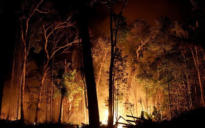 Có thêm 2.000 vụ cháy nữa ở Amazon ngay sau khi tổng thống Brazil ban lệnh cấm đốt nương rẫy