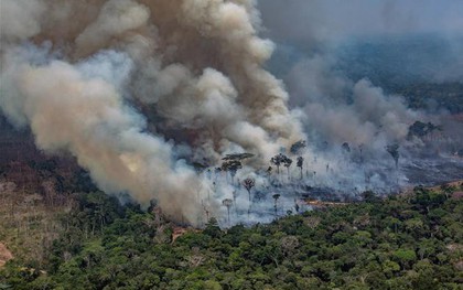 Tổng thống Brazil điều chỉnh sắc lệnh cấm đốt nương rẫy