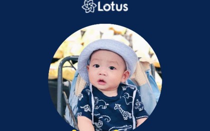 Trọn bộ bí kíp “Tớ đã học cách dùng Lotus như thế nào” dành cho những ai thích đu trend siêu tốc