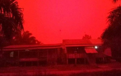 Những đợt cháy rừng tồi tệ khiến bầu trời ở Indonesia chuyển màu đỏ như máu