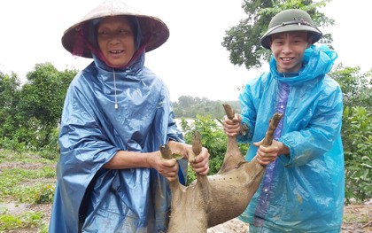 Người dân Hà Tĩnh hối hả ôm lợn, gà chạy đua với nước lũ