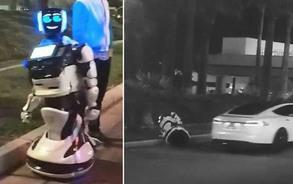 Máy móc đại chiến: 1 con robot tự ý "tách đoàn" bị xe tự lái Tesla tông chết