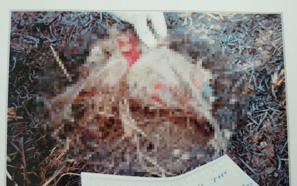 Phát hiện bộ xương người chết bí ẩn ở Bình Dương