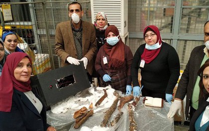 Ai Cập thu giữ xác ướp giấu trong loa thùng trước khi bị buôn lậu ra nước ngoài