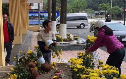 Phản cảm cảnh "tranh cướp" hoa trang trí ở ga Đồng Đăng