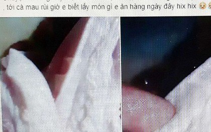 Tung tin thất thiệt về dịch tả lợn Châu Phi vì… hiếu kỳ!
