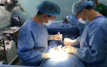 Bình Phước: Vào chuồng chăm heo con mới sinh, người đàn ông bị heo mẹ táp suýt mất "của quý"