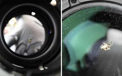 Một con ruồi chui vào ống kính camera 40 triệu, khổ chủ méo mặt mất thêm 9 triệu tiền sửa