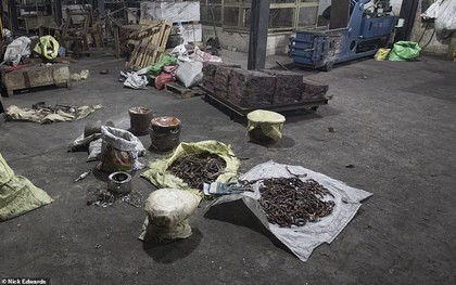 Bên trong nhà máy chế bom 'mẹ của quỷ Satan' của khủng bố ở Sri Lanka