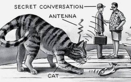 CIA chế tạo điệp viên "Mèo Robot" mất mấy năm mới xong, vừa thả ra đường đã bị ô tô đâm chết