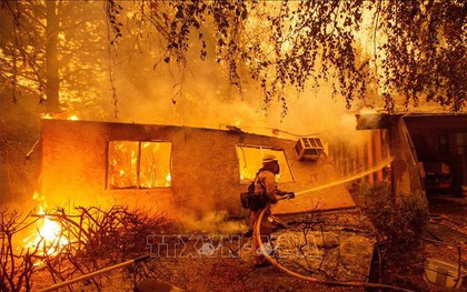 Cháy rừng kinh hoàng ở California năm 2018 là do sự cố đường dây truyền tải điện