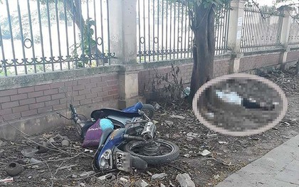 Kinh hãi phát hiện người đàn ông nằm chết dưới gốc cây ở Hà Nội