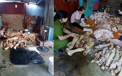 Thu giữ 1,5 tấn "phụ kiện" bò không rõ nguồn gốc