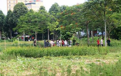 Thanh Hóa: Phát hiện người chăm sóc cây cảnh gục chết trong công viên
