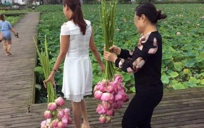 Ngỡ ngàng cảnh hàng trăm du khách Trung Quốc leo rào hái trộm hoa