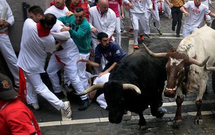 Lễ hội rượt bò San Fermin tại Tây Ban Nha khiến nhiều du khách bị thương