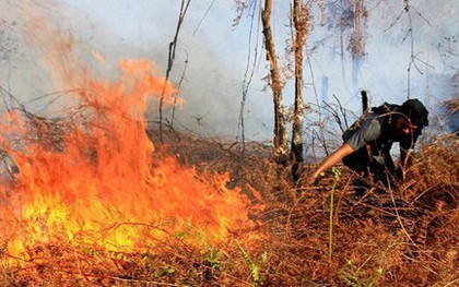 Cháy rừng và đất lan rộng tại nhiều khu vực trên toàn Indonesia