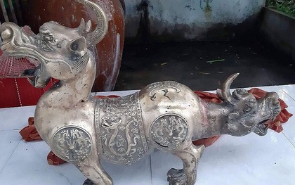 Mang "quái thú 2 đầu" ở biển Cà Mau đi giám định tại... tiệm vàng