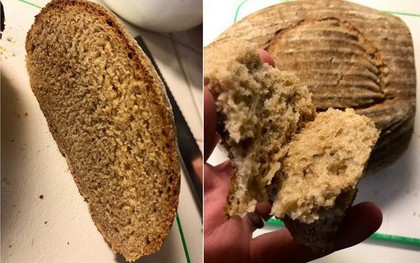 Tìm được loại men ủ hơn 4500 năm, nhà khoa học thử chế biến và thành công với món bánh mì nướng thơm ngon lạ lùng
