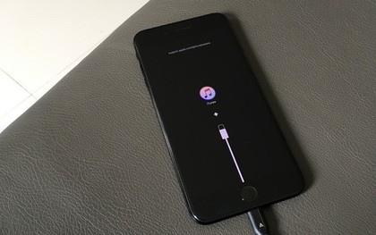 A đây rồi! Đã có "thuốc" cực đơn giản chữa bệnh treo táo, lỗi khởi động trên iPhone