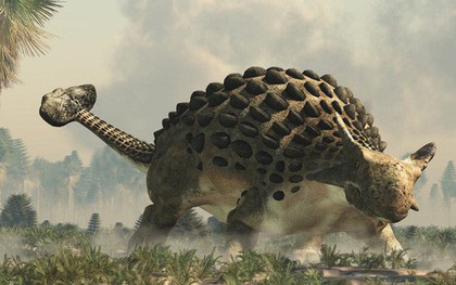 "Xác ướp" khủng long được bảo quản nguyên vẹn hơn 100 triệu năm có trọng lượng gần như tương tự lúc còn sống