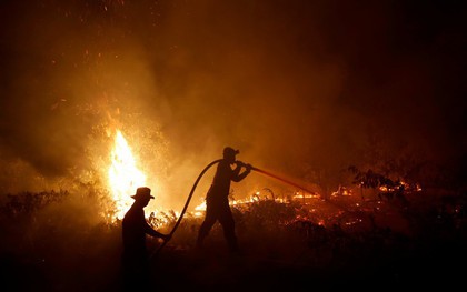 Indonesia bắt giữ gần 200 người liên quan cháy rừng