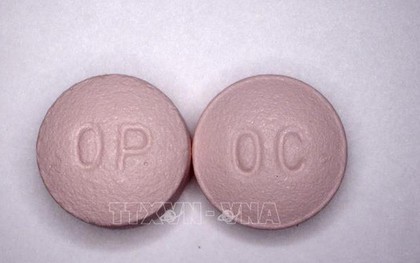 Thêm nhiều người tử vong do dùng thuốc giảm đau quá liều ở Mỹ