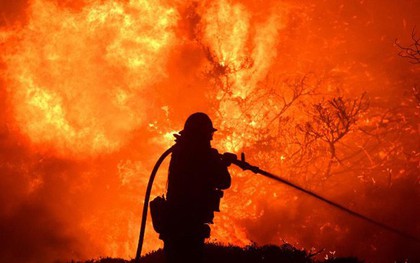 Cháy rừng thiêu rụi hàng chục ngôi nhà, hơn 1.900 hộ dân phải sơ tán