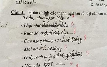 Siêu phẩm sáng tạo khi học sinh cấp 1 điền thành ngữ khiến cô giáo 'đứng hình'