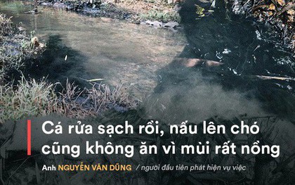 Nhân chứng kể việc phát hiện dầu thải đổ trộm xuống suối đầu nguồn nhà máy nước sông Đà