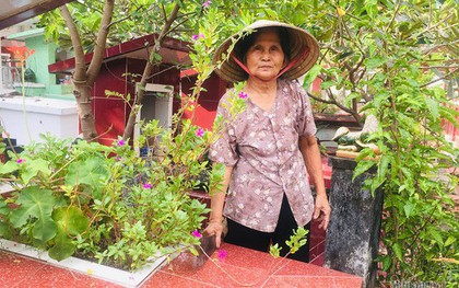 Cụ bà 50 năm sống ở nghĩa trang Sài Gòn, chứng kiến nhiều cảnh lạ