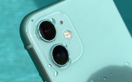 So sánh iPhone 11 với "ma thuật" Deep Fusion và iPhone XR, mèo nào cắn mỉu nào?