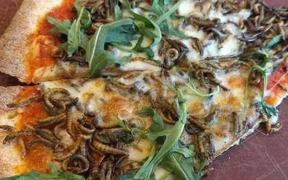 Kinh sốc với món "pizza sâu" trong menu của Google dành cho nhân viên: Miễn phí đấy nhưng ai dám ăn thật?