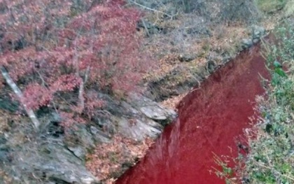 Nước sông tại Hàn Quốc bất ngờ hóa đỏ màu máu