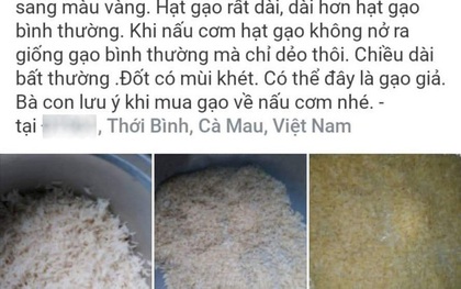 Cà Mau xác minh thông tin "gạo không nở, đốt có mùi khét, nghi gạo giả"