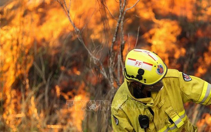Một đối tượng bị buộc tội gây ra cháy rừng dọc bờ biển miền Đông Australia