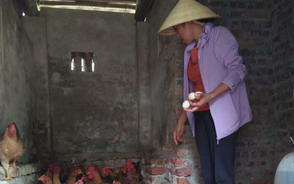 Người phụ nữ bán trứng gà giúp những người cùng cảnh "vì ngày mai tươi sáng"
