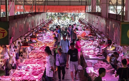 Ngân hàng Trung Quốc dùng thịt lợn hút khách hàng