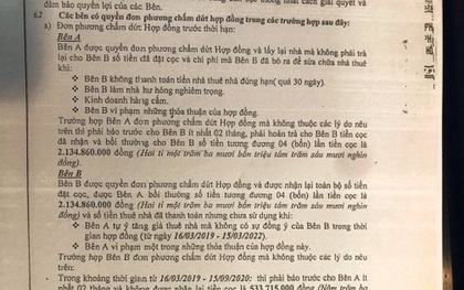 TP.HCM: Cho thuê nhà 250 triệu/tháng, bồi thường hơn 2 tỷ vẫn không đòi được nhà