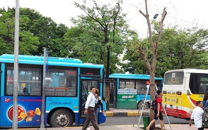 Hà Nội tăng cường thêm 65 xe buýt trong dịp Tết Nguyên đán
