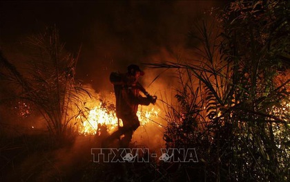 586 người Indonesia thiệt mạng, mất tích vì thảm họa thiên tai trong năm 2019