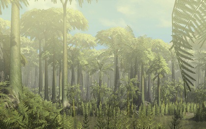 Các nhà khoa học phát hiện khu rừng cổ đại lâu đời nhất trong lịch sử Trái Đất, cách chúng ta 385 triệu năm