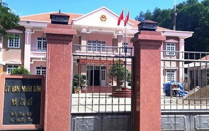 Bình Định: Buộc thôi việc công chức dùng bằng giả