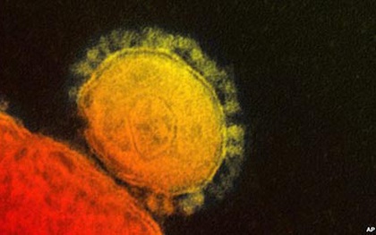 Đã có 2 trường hợp nghi nhiễm virus cực nguy hiểm qua cửa khẩu, Bộ Y tế cảnh báo và biện pháp phòng chống