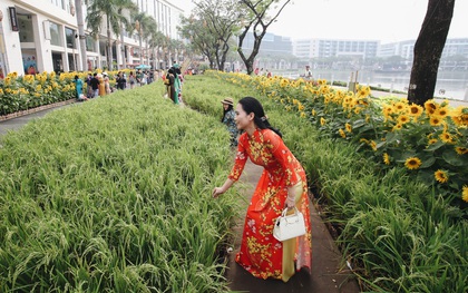 Phố nhà giàu Phú Mỹ Hưng đón Tết Canh Tý với đường hoa xuân đầy lúa và bắp ngô, tái hiện khung cảnh làng quê bình dị