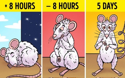 Tác hại kinh khủng của việc thiếu ngủ: Não bộ của bạn có thể tự "ăn" chính nó và đây là cách để thảm họa này không xảy ra