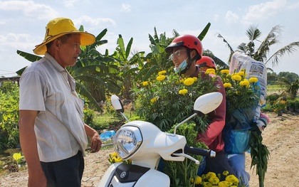 Thương lái "bùng" 3.000 chậu hoa vạn thọ của lão nông Sài Gòn vào 28 Tết, cộng đồng mạng chung tay mua sạch