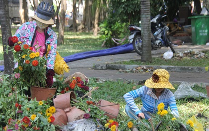 Sau khi tiểu thương ở Sài Gòn đập chậu, ném hoa vào thùng rác, nhiều người tranh thủ chạy đến "hôi hoa"